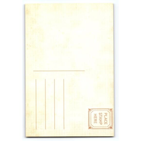 Vintage Halloween Photochrome Postcard with Clown & Cat Musicians - Picture 2 of 2